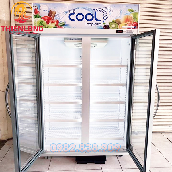 Tủ Mát 2 Cánh The Cool Alex 2P Jumbo 1000 Lít-02