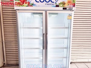 Tủ Mát 2 Cánh The Cool Alex 2P Jumbo Thái Lan