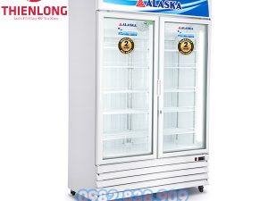 Tủ Đông Đứng 2 Cánh Alaska IFC-100G2 1000 Lít-1