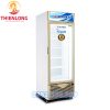 Tủ Đông Đứng 1 Cánh Alaska IFC 45G 450 Lít-1