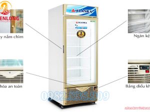 Tủ Đông Đứng 1 Cánh Alaska IFC 45G 450 Lít-2