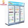 Tủ Mát 3 Cánh Kính The Cool ALEX 3P Jumbo 1585 Lít-2