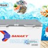 Tủ Đông Sanaky Inverter VH-4099A4K Mặt Kính Cường Lực-0