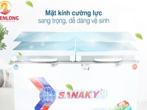 Tủ Đông Sanaky VH-4099W2K Mặt Kính Cường Lực-0