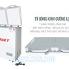 Tủ Đông Sanaky VH-4099W2K Mặt Kính Cường Lực-3