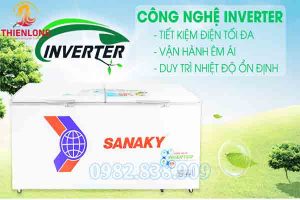 Tủ Đông 2 Cánh Sanaky VH-8699HY3-0