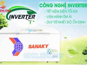 Tủ Đông 2 Cánh Sanaky VH-8699HY3-0