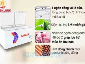 Tủ Đông 2 Cánh Sanaky VH-8699HY3-3