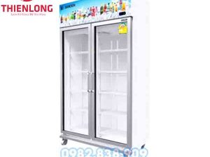 Tủ Mát 2 Cánh Sanden Intercool YEM-1105 800L-0