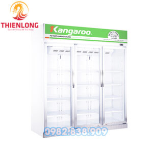 Thu Mua Thanh Lý Tủ Mát Kangaroo Cũ Giá Cao Tại Vĩnh Phúc-0